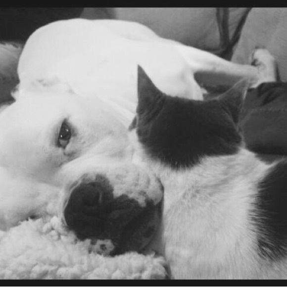 Meet your Posher, Megan - Picture 10 of 16